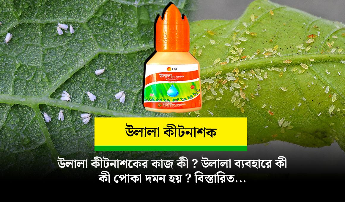 উলালা কীটনাশকের কাজ